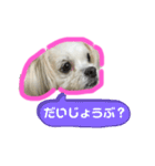 ワンコ系女子ハナちゃんのキモチ2（個別スタンプ：11）
