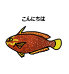 サンゴ礁の魚（個別スタンプ：6）