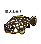 サンゴ礁の魚（個別スタンプ：10）