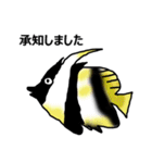 サンゴ礁の魚（個別スタンプ：14）