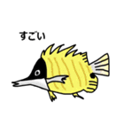 サンゴ礁の魚（個別スタンプ：16）