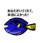 サンゴ礁の魚（個別スタンプ：17）