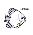 サンゴ礁の魚（個別スタンプ：18）