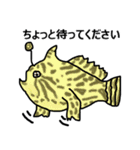 サンゴ礁の魚（個別スタンプ：24）