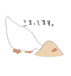 アホっぽいアヒル（個別スタンプ：11）