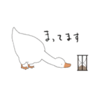 アホっぽいアヒル（個別スタンプ：20）