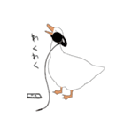 アホっぽいアヒル（個別スタンプ：21）