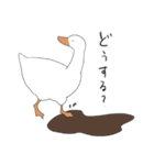 アホっぽいアヒル（個別スタンプ：23）