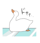 アホっぽいアヒル（個別スタンプ：24）