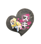 ポメラニアンのカイくん③（個別スタンプ：13）