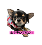 さくこたスタンプだって2（個別スタンプ：8）
