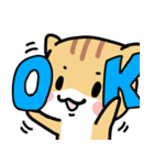ねこ3兄弟 あいさつ（個別スタンプ：5）