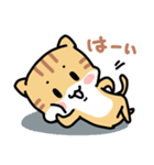 ねこ3兄弟 あいさつ（個別スタンプ：8）