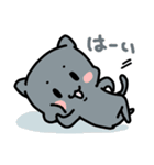 ねこ3兄弟 あいさつ（個別スタンプ：12）