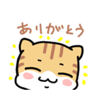 ねこ3兄弟 あいさつ（個別スタンプ：17）
