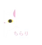 しろねことテレオペのLINEスタンプ（個別スタンプ：1）