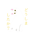 しろねことテレオペのLINEスタンプ（個別スタンプ：9）