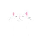 しろねことテレオペのLINEスタンプ（個別スタンプ：13）