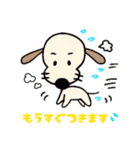 毎日使える敬語♪癒しのハーちゃん №2（個別スタンプ：38）