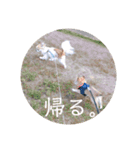 きなぽん1（個別スタンプ：16）