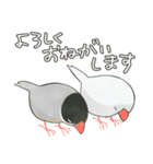 白熊 文鳥 ワオキツネザルや仲間達・修正版（個別スタンプ：26）