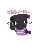 毎日使えるシンプルスタンプ！黒パグのアポ（個別スタンプ：7）