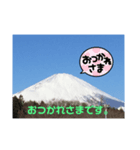 fujisan001（個別スタンプ：8）