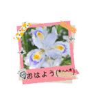 お花でコメント（個別スタンプ：1）