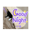 黒柴小春のスタンプの巻2（個別スタンプ：4）