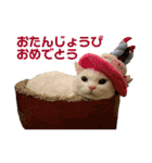 ささみくんだよ（個別スタンプ：3）
