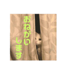 ささみくんだよ（個別スタンプ：18）