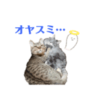 ハウルとチクワ（個別スタンプ：3）