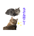 ハウルとチクワ（個別スタンプ：4）