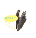ハウルとチクワ（個別スタンプ：5）