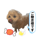 Cheri②（個別スタンプ：6）