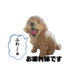 Cheri②（個別スタンプ：7）