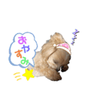 Cheri②（個別スタンプ：9）