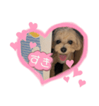 Cheri②（個別スタンプ：11）