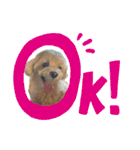 Cheri②（個別スタンプ：18）