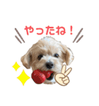 Cheri②（個別スタンプ：23）