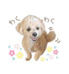 Cheri②（個別スタンプ：26）