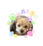 Cheri②（個別スタンプ：31）