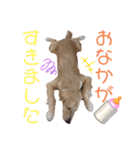 美犬姉妹（個別スタンプ：7）
