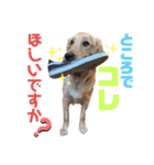 美犬姉妹（個別スタンプ：11）
