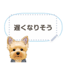 ヨーキー メッセージ（日本語）1/2（個別スタンプ：2）