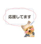 ヨーキー メッセージ（日本語）1/2（個別スタンプ：4）