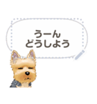 ヨーキー メッセージ（日本語）1/2（個別スタンプ：16）