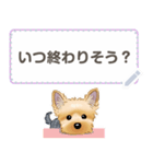 ヨーキー メッセージ（日本語）1/2（個別スタンプ：18）