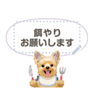 ヨーキー メッセージ（日本語）1/2（個別スタンプ：20）