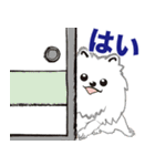 日常ワード[青天日本]キャラスタンプ 虎 犬（個別スタンプ：30）